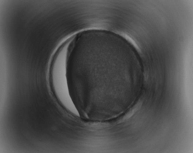 X0000092031077200710041057