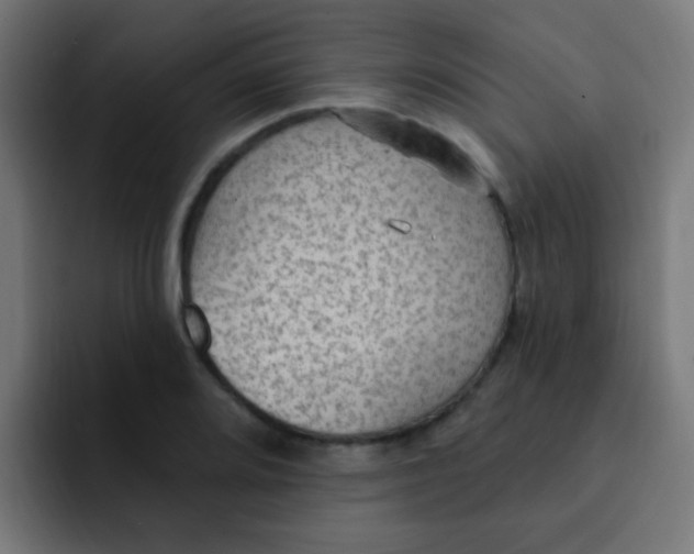 X0000092031080200710041057