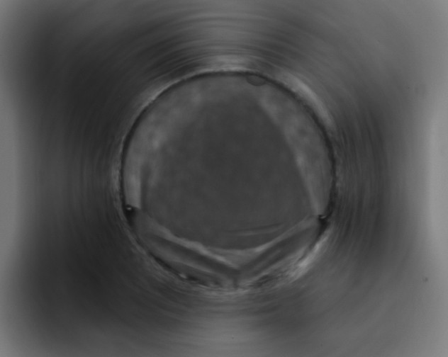 X0000092031081200710041057