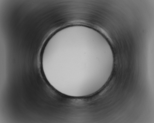 X0000092031082200710041057