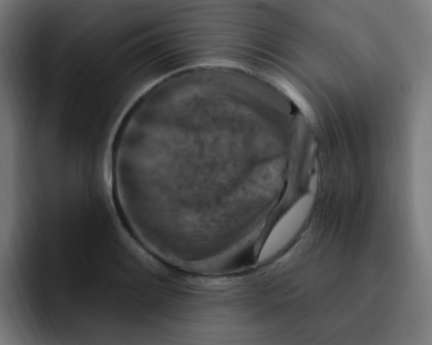 X0000092031084200710041057