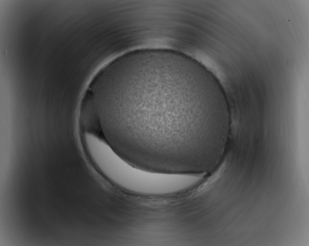 X0000092031085200710041057