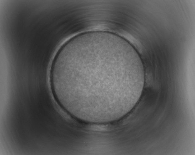 X0000092031086200710041057