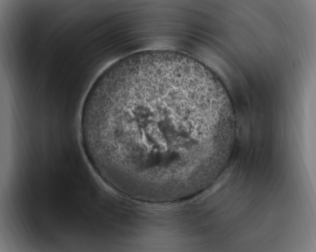 X0000092031087200710041057