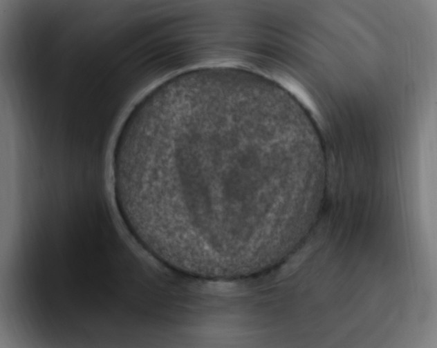 X0000092031088200710041057