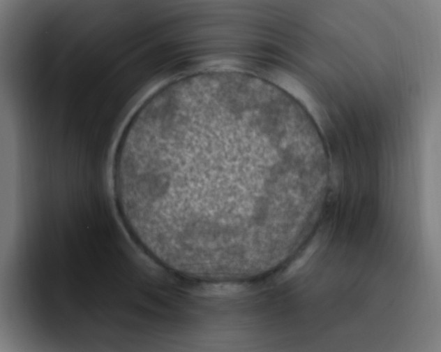 X0000092031090200710041057