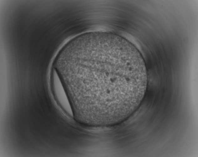 X0000092031091200710041057