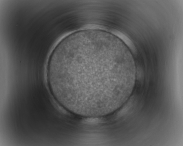 X0000092031094200710041057