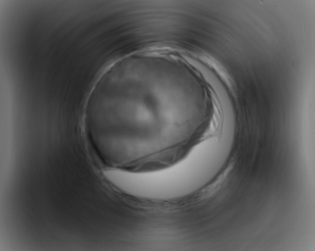 X0000092031097200710041057