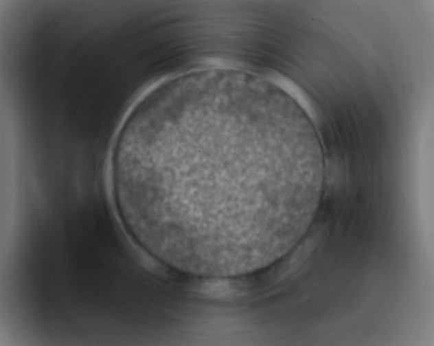 X0000092031098200710041057