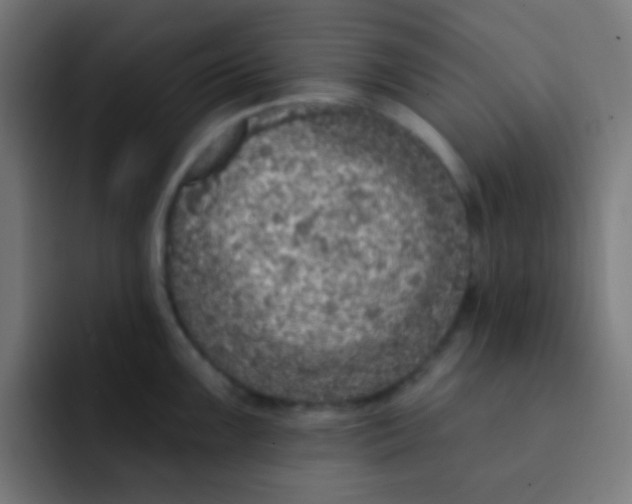 X0000092031099200710041057