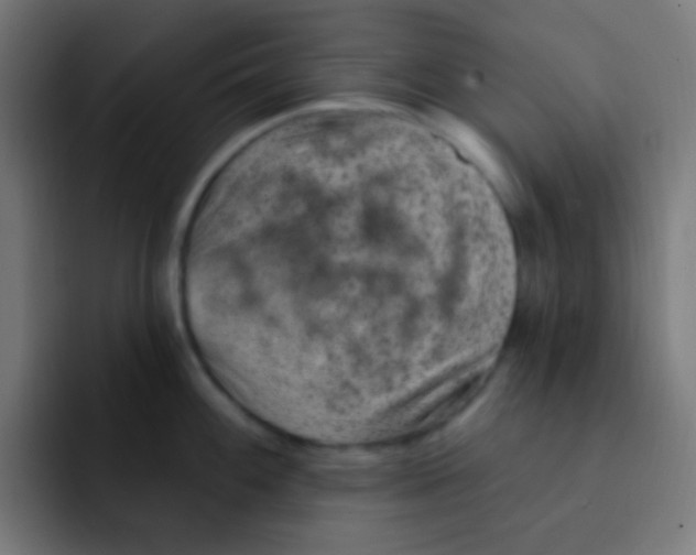 X0000092031100200710041057