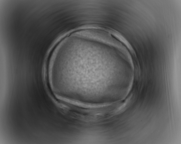 X0000092031101200710041057