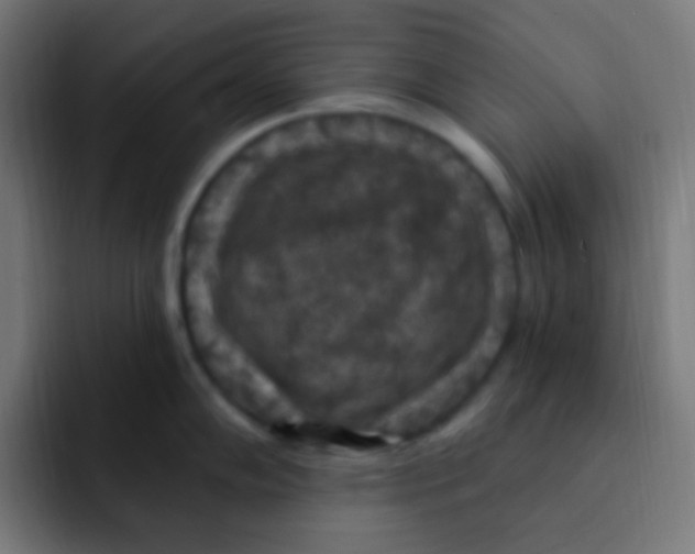 X0000092031102200710041057