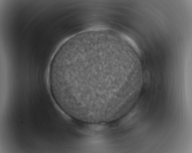 X0000092031103200710041057