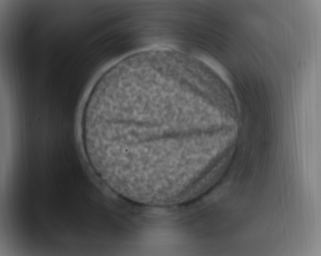 X0000092031104200710041057