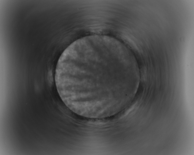 X0000092031106200710041056