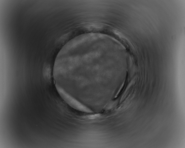 X0000092031108200710041056