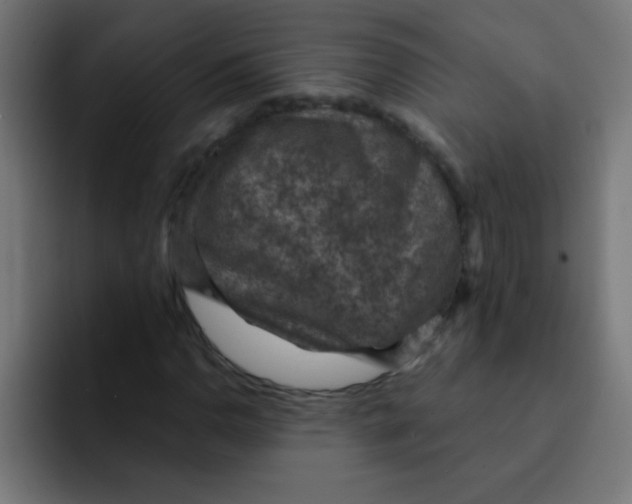 X0000092031110200710041056