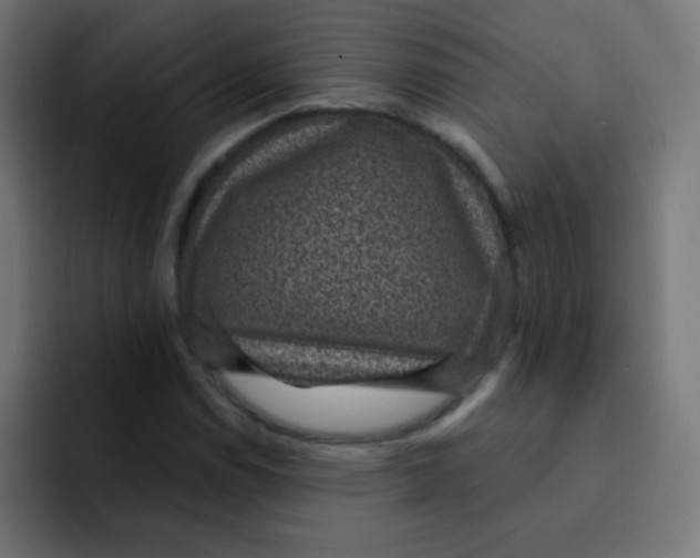 X0000092031114200710041056