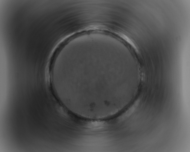 X0000092031117200710041056