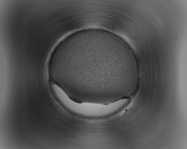 X0000092031118200710041056