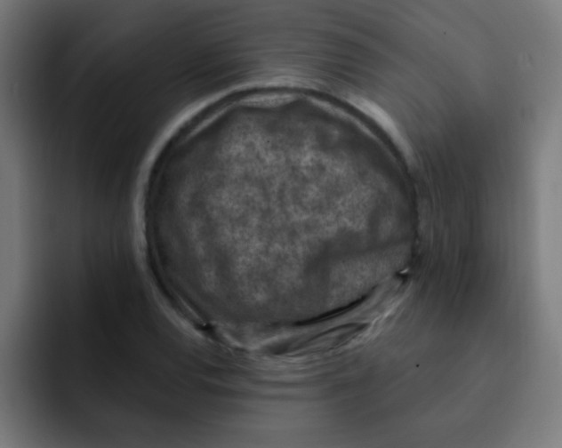 X0000092031120200710041056