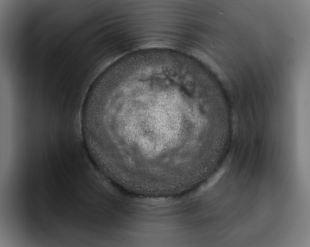 X0000092031121200710041056