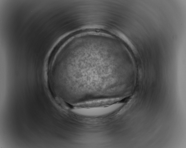 X0000092031124200710041056