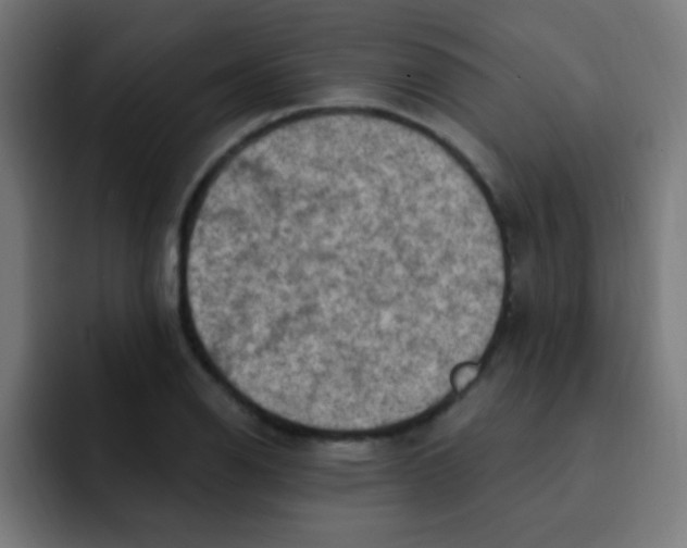 X0000092031126200710041056