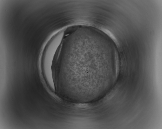 X0000092031128200710041056