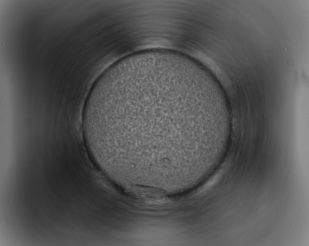 X0000092031129200710041056