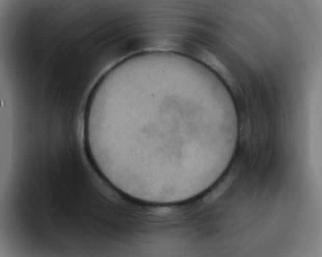 X0000092031130200710041056