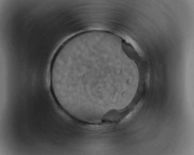 X0000092031132200710041056