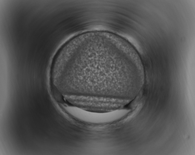 X0000092031134200710041057