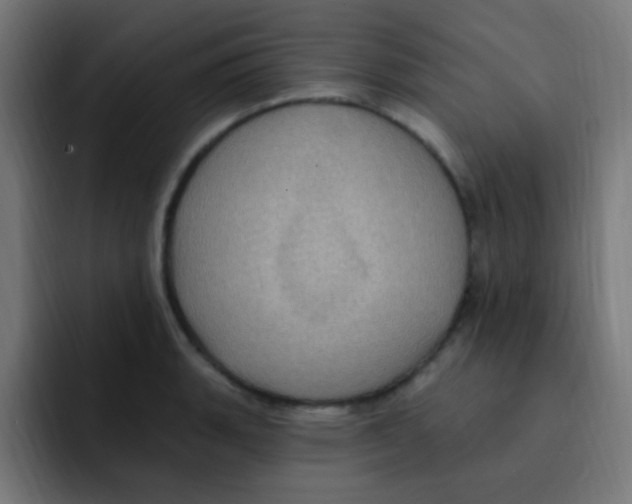 X0000092031135200710041057