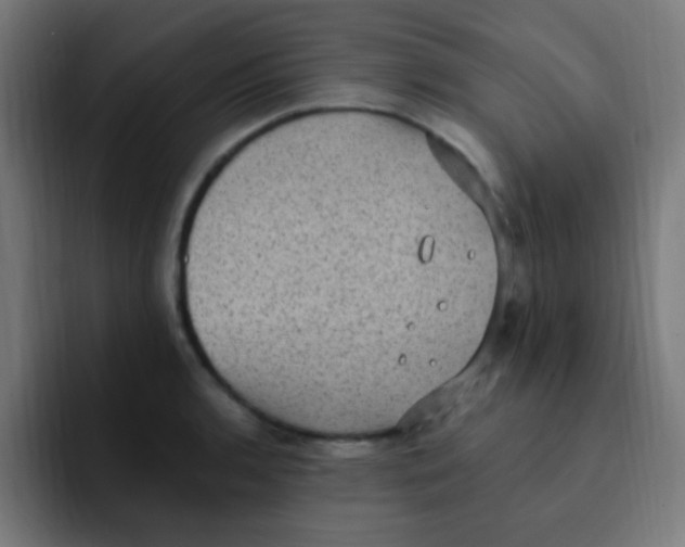 X0000092031136200710041057