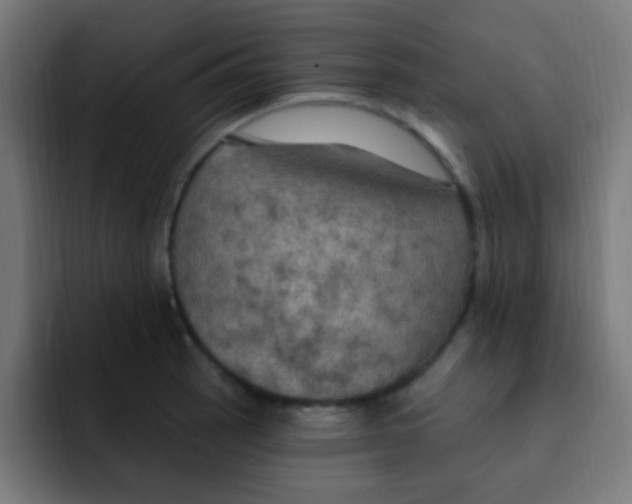 X0000092031137200710041057