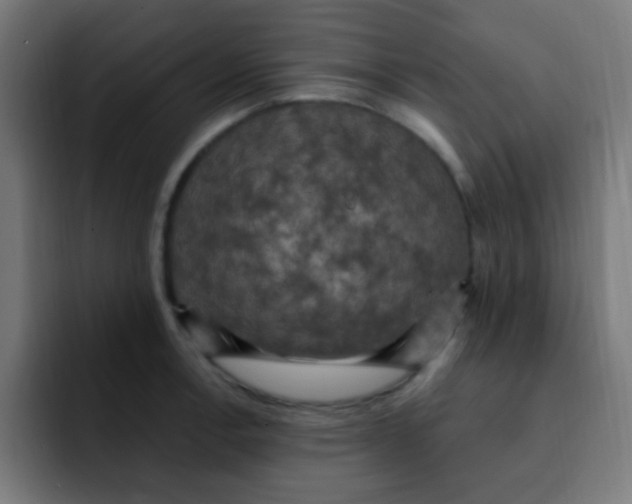 X0000092031138200710041057