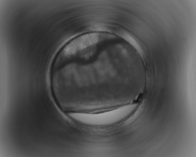 X0000092031141200710041057