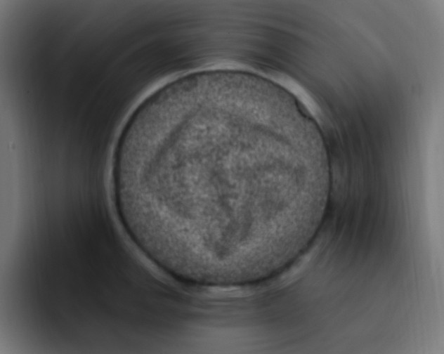 X0000092031142200710041057