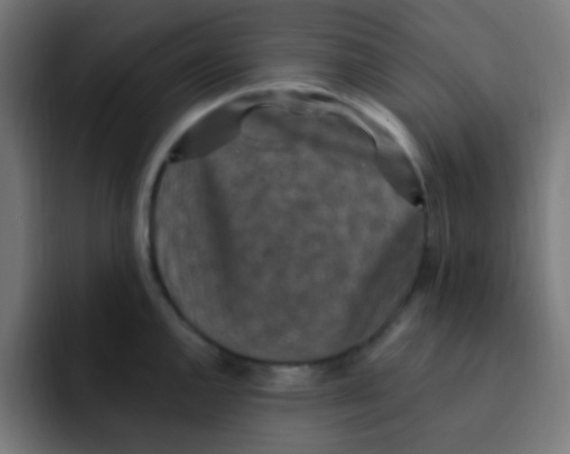 X0000092031144200710041057