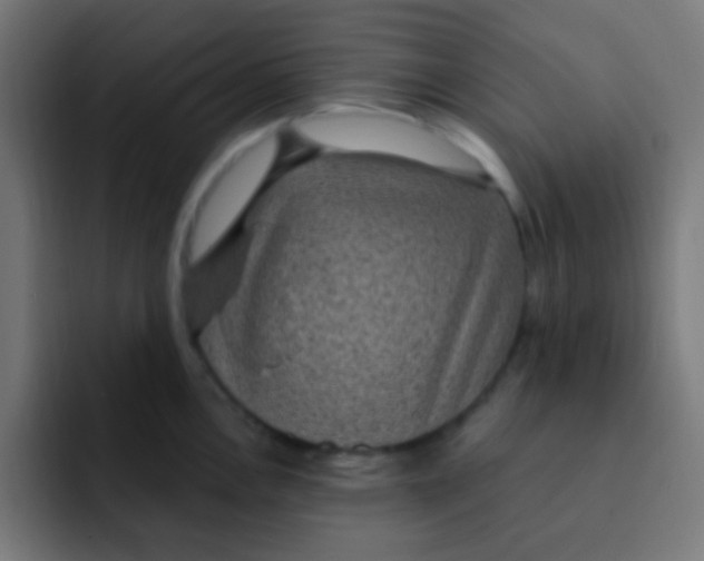 X0000092031146200710041057