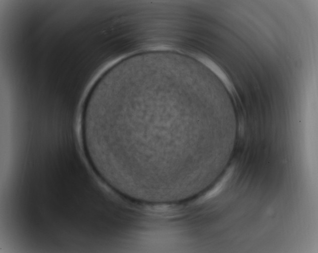 X0000092031149200710041057