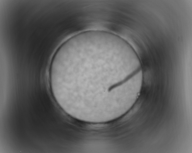 X0000092031150200710041057