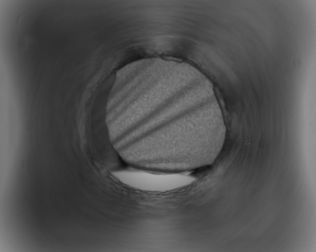 X0000092031153200710041056