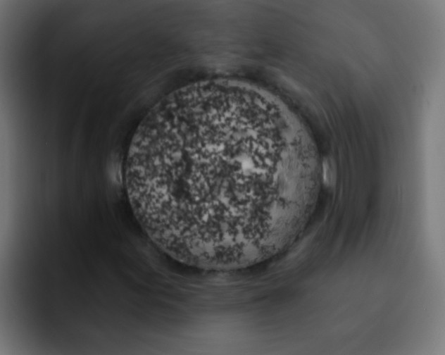 X0000092031155200710041056