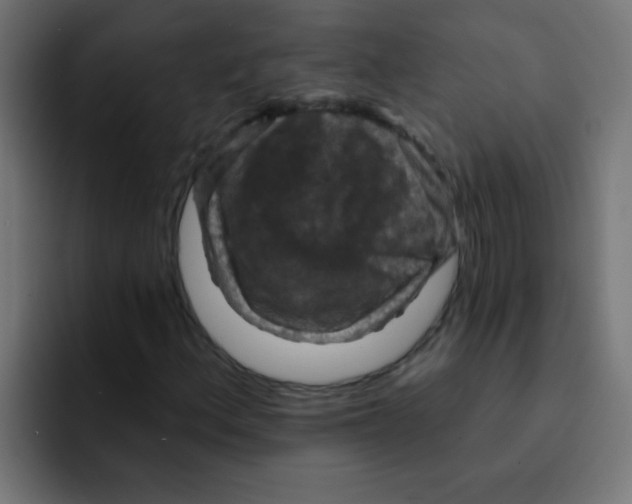 X0000092031156200710041056