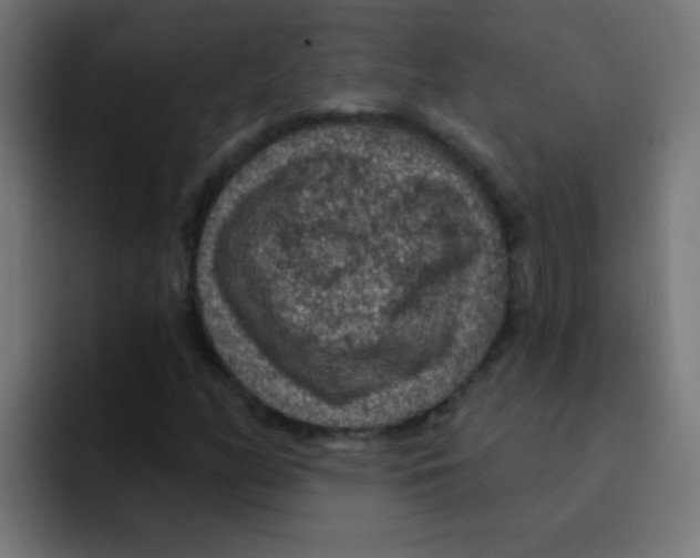 X0000092031158200710041056