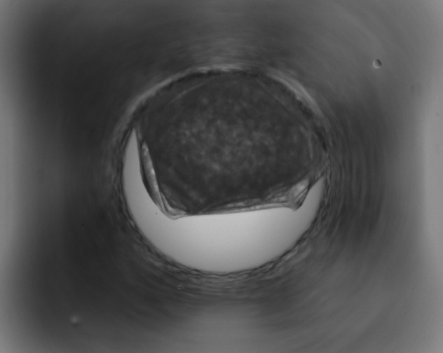 X0000092031160200710041056